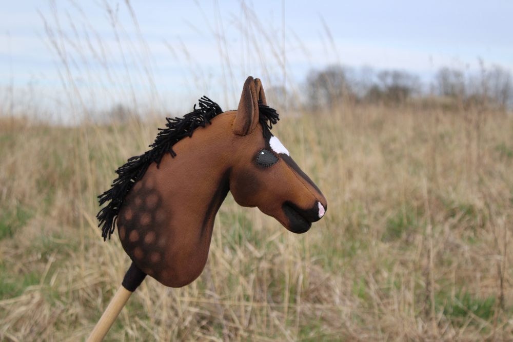 hobby horse gniady Le Pectus
