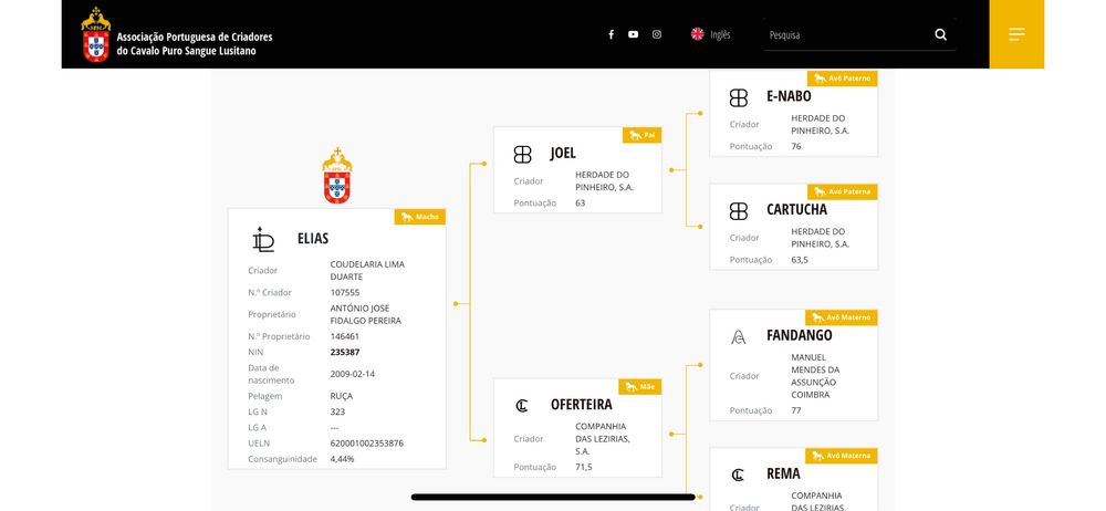 Vendo letra “o” prenha!