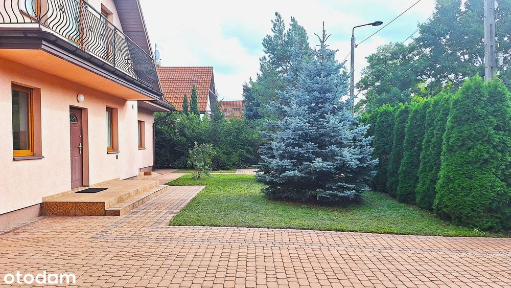 Zdjęcie 8