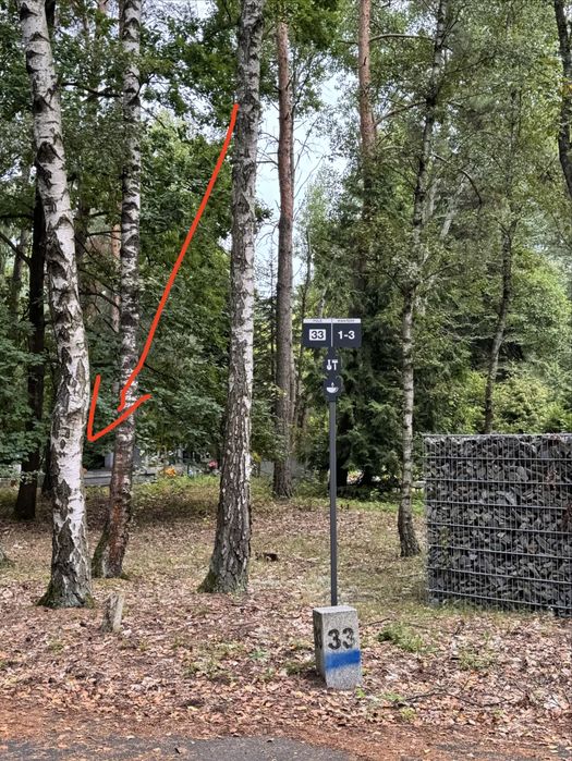 Grobowiem z miejscem wykupione na 100 lat cmentarz Junikowo poznań - Widok 4