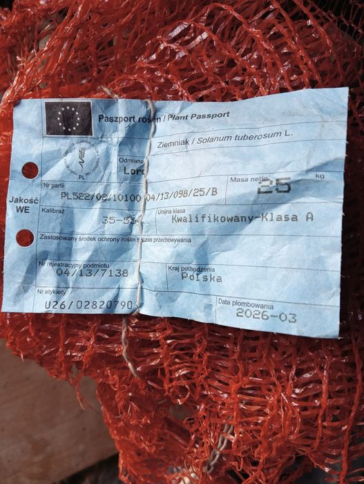 Ziemniaki Lord z centali