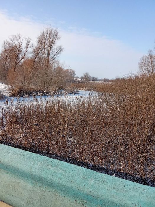 Будинок у с.Калинове