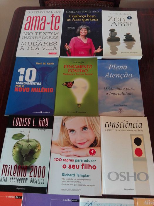 Livros Auto-Ajuda e Desenvolvimento Pessoal