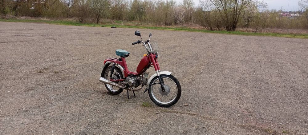 Малагутик Італія