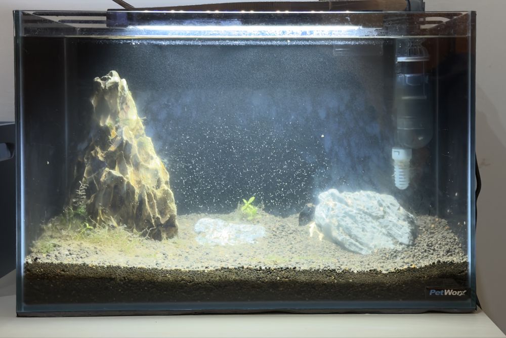 Aquário 22lts + filtro externo e acessórios