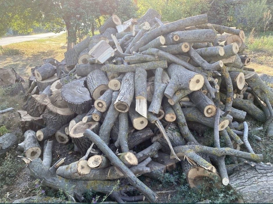 Продам Дрова  фруктовых деревьев