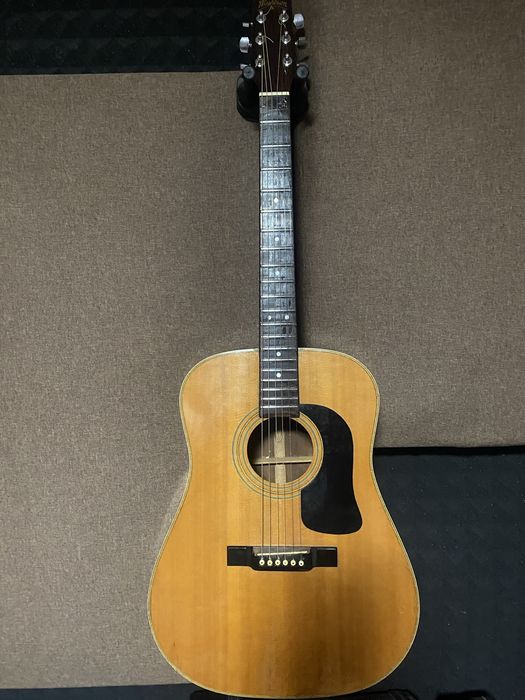 Акустична вінтажна гітара Washburn D13N і лади з нержавіючоі сталі