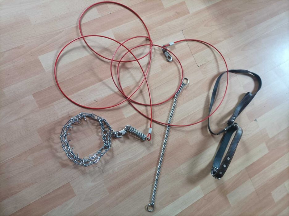 Ошейник,поводок,цепь.