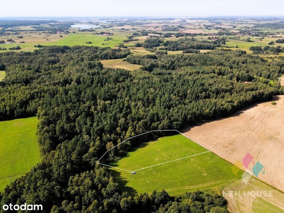 Działka pod dom przy lesie – cisza i natura