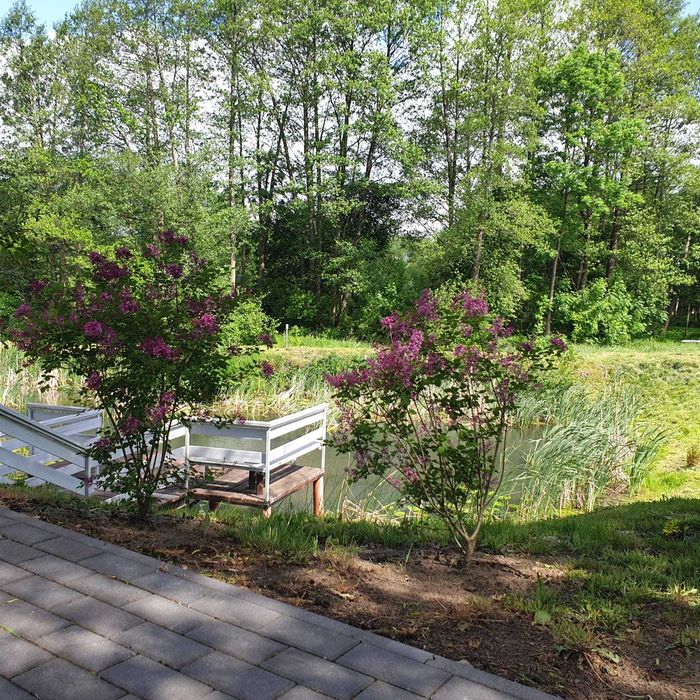 Zabłocie Sylwester! WOLNY