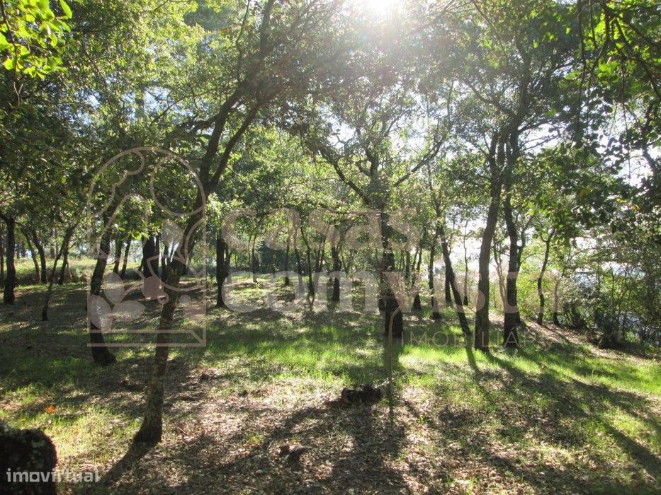 Terreno — Nossa Senhora Misericórdias, Santarém