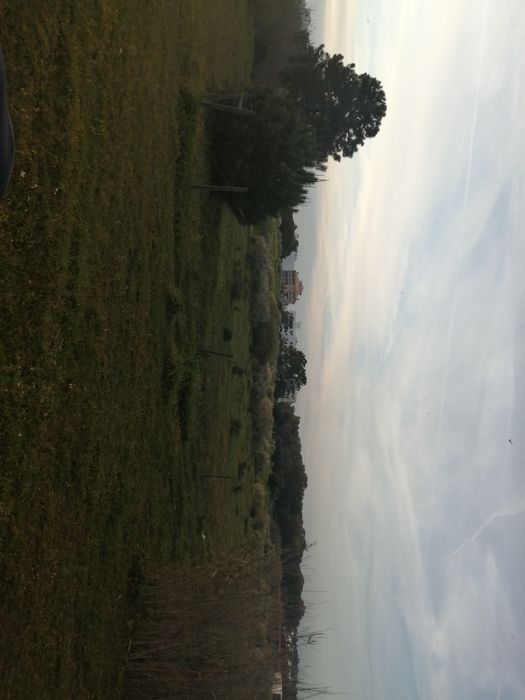 Terreno, Salgados, Guia