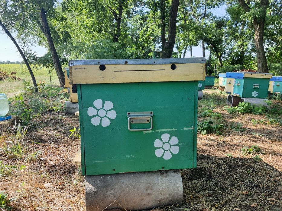 Улья 20 рамочные