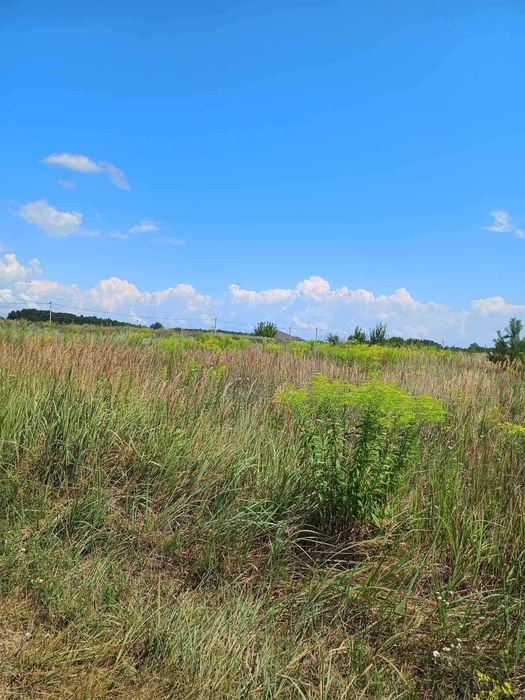 Продається земельна ділянка в садовому товаристві Керамік( район РЕСа)