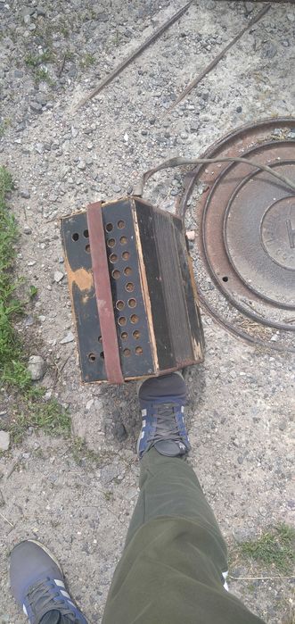 Гармошка игровая Житомир