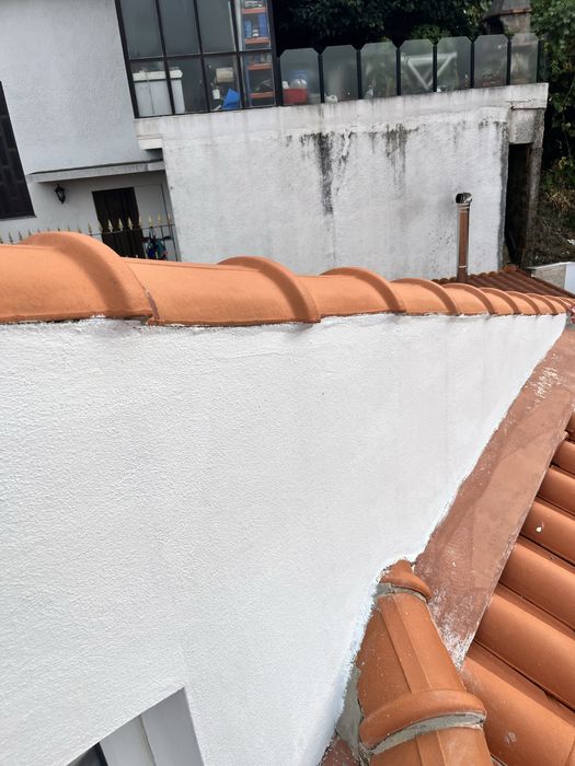 Servico pintura, limpeza de telhados e muros