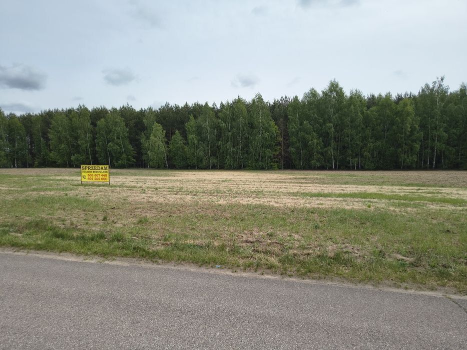 Działka budowlana Kazimierzów - Widok 3
