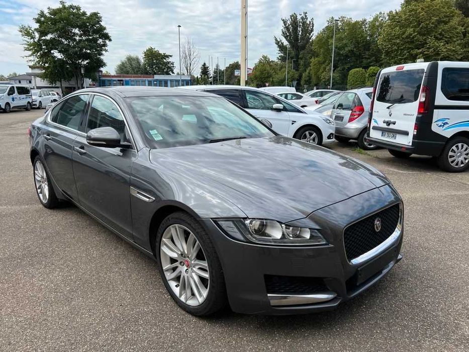 Бампер JAGUAR XF X260 запчастини розборка Ягуар іксф ікс260 шрот