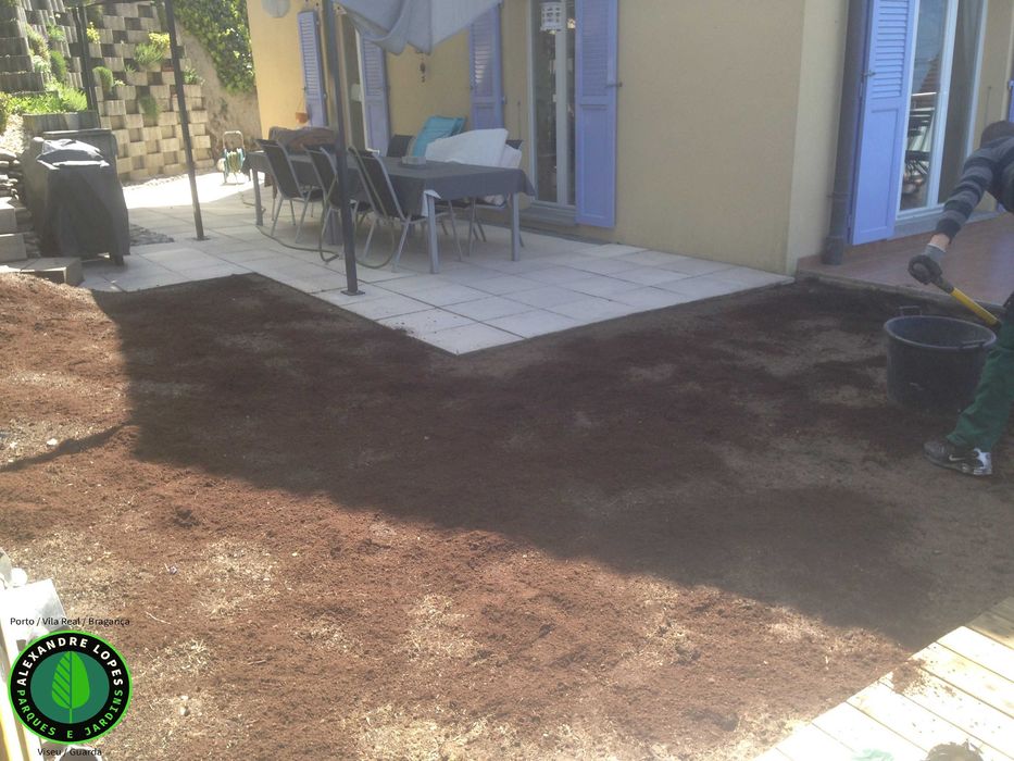 Relva em tapete natural qualidade superior