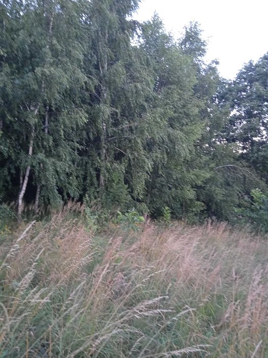 Husów 11 ar powiat łańcucki 4 Kl ziemi między domami 52800