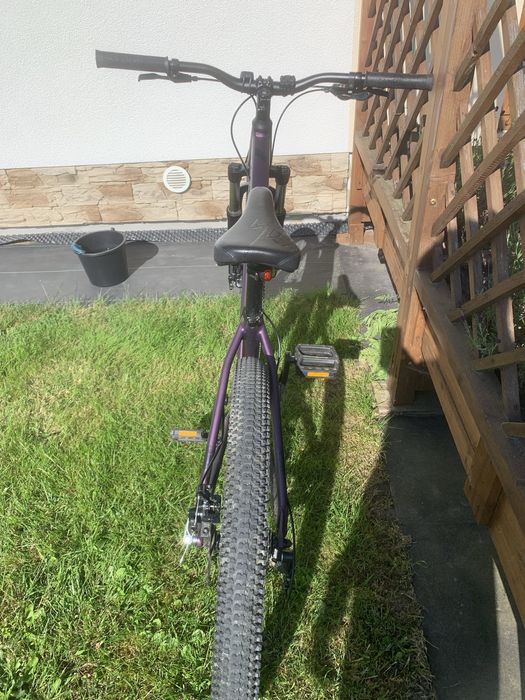 rower Kellys whip 10 M dirt