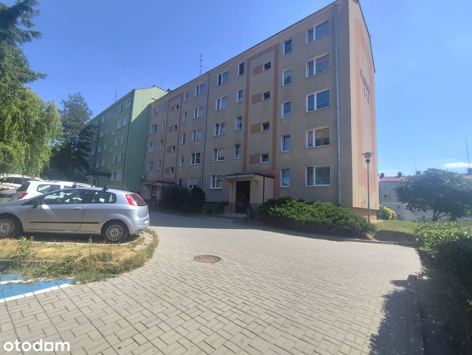 Zdjęcie 8