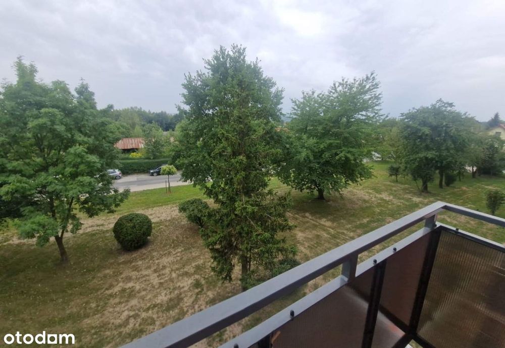 Zdjęcie 8