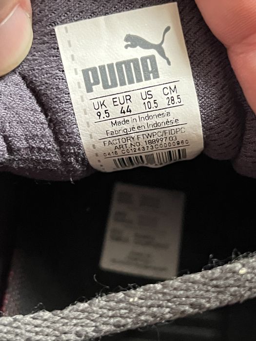 Кросівки Puma IGNITE XT