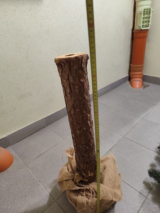 Choinka na pniu 210 cm