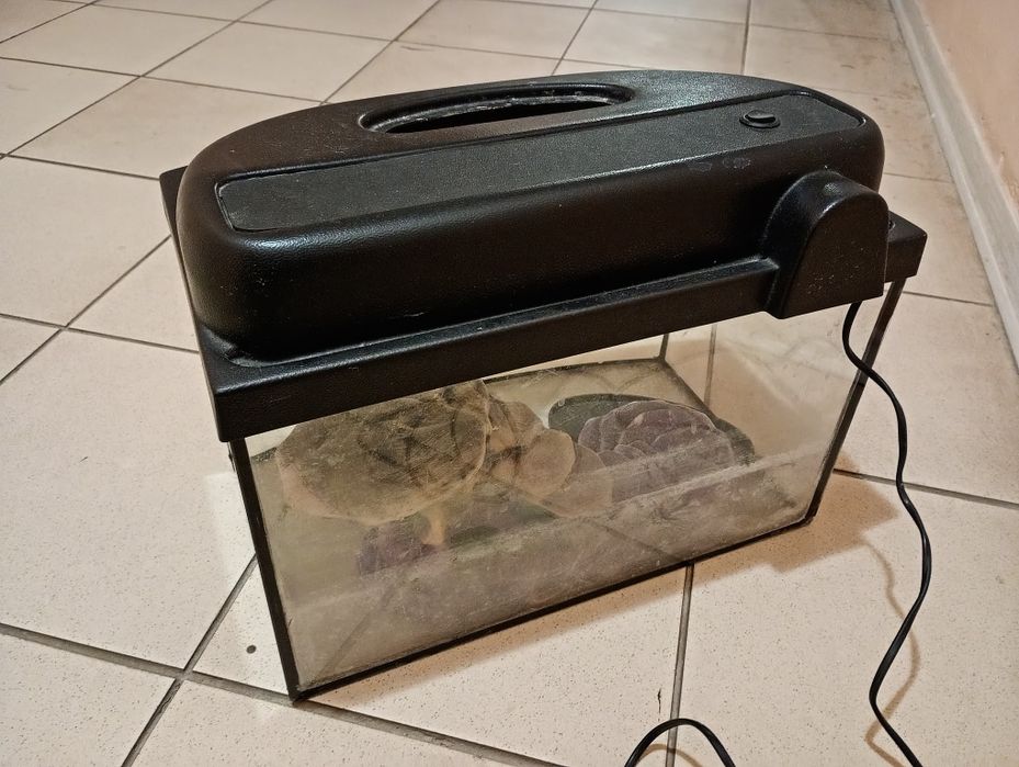 Продам аквариум бу с декором.