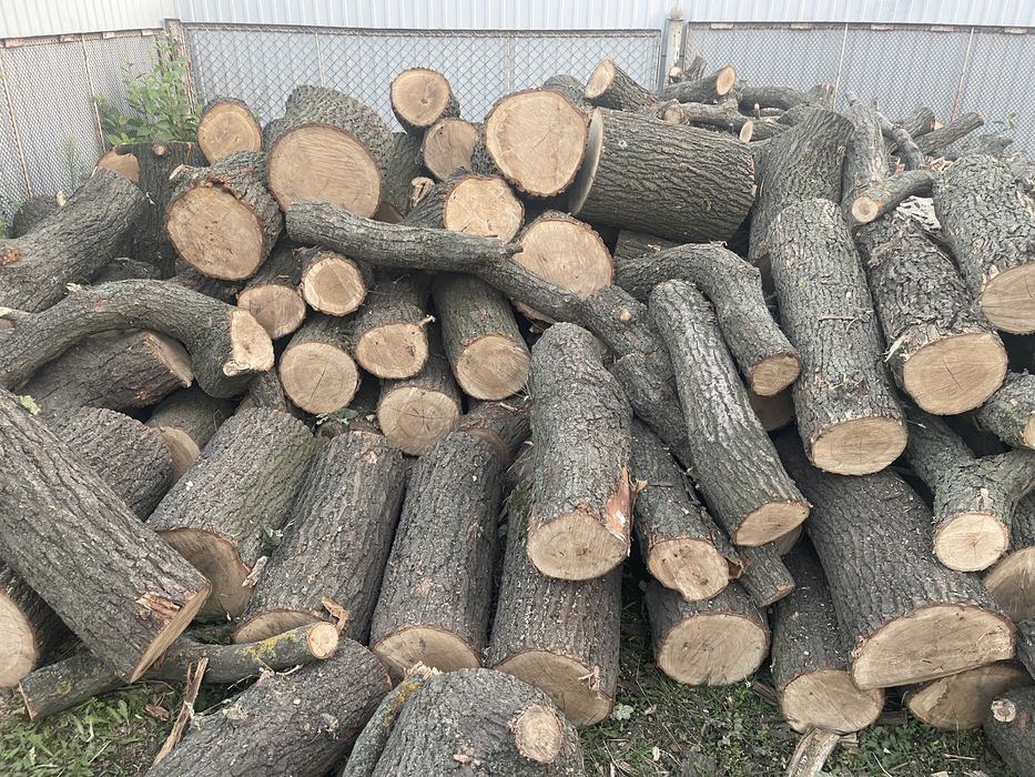 Продам сухие дрова ДУБА!!!