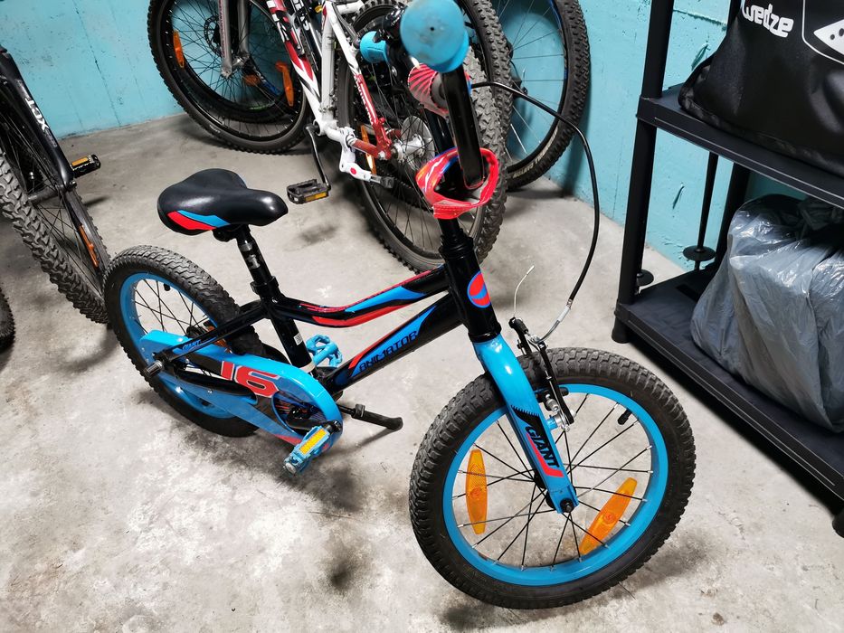 Rowerek dziecięcy Giant Animator