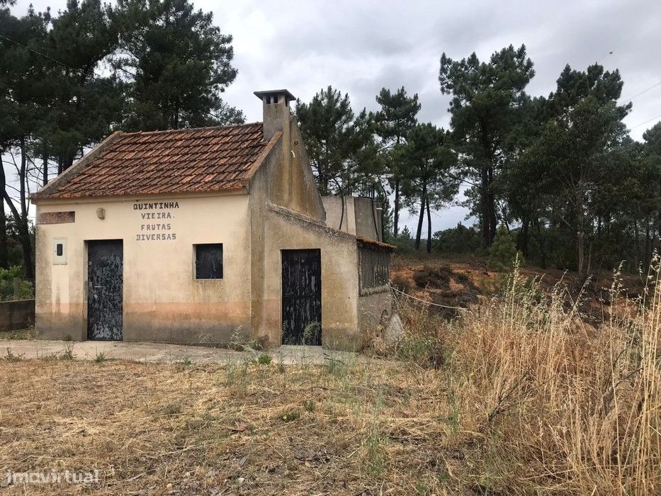 Quinta com uma pequena casinha agrícola na Chancelaria, Torres Novas