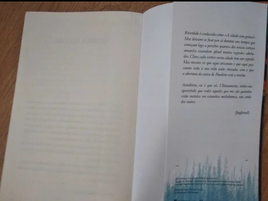 Livro Riverdade – Como Novo – Envio Rápido!