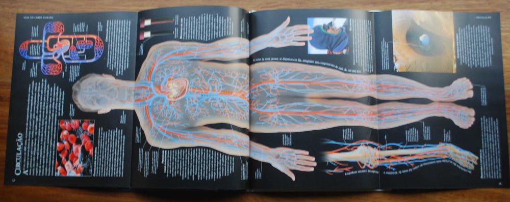 Guia do Corpo Humano (Uma Viagem Fotográfica Através do Corpo Humano)