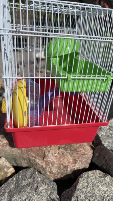 Клітка для гризунів