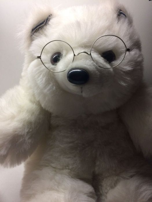 Urso de Peluche - The Reinhart Collection