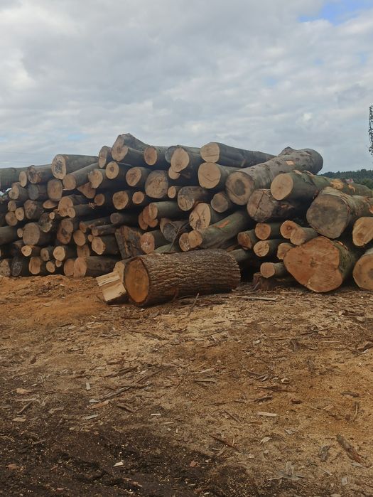 Drewno Opałowe, walki, kominkowe.