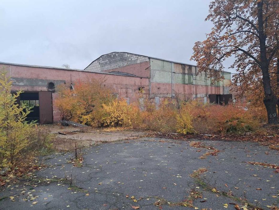 Аренда. Пром.база. Амур Гавань