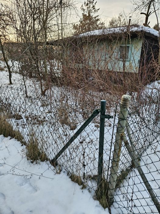 Działka ROD, im. Adama Mickiewicza, Warzywna 5, Pabianice 400 m² - Widok 6