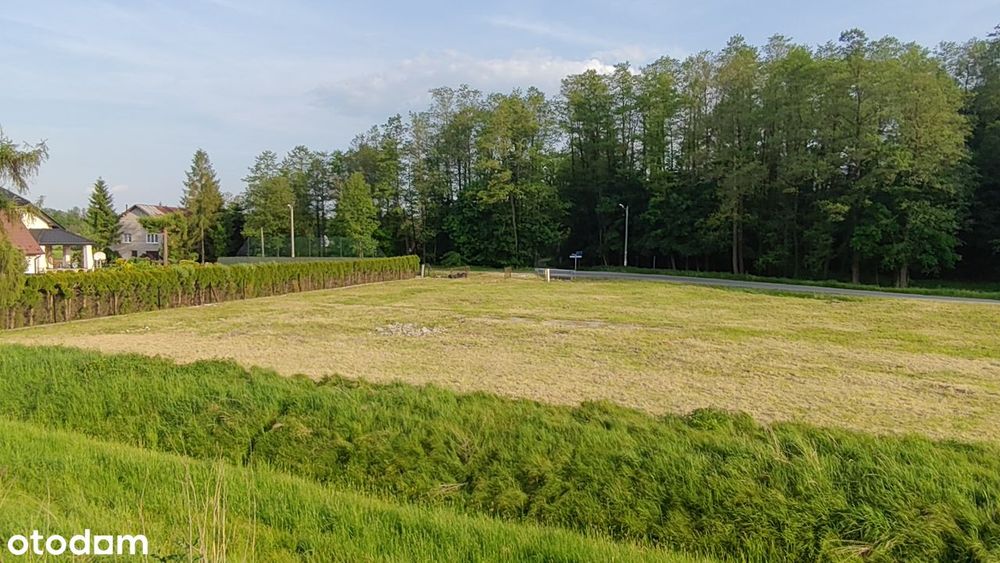 Działka INWESTYCYJNA od południowej obwodnicy Krakowa - Widok 4