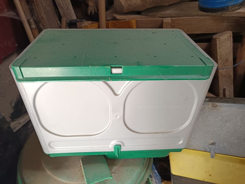 Maternidade para coelhos