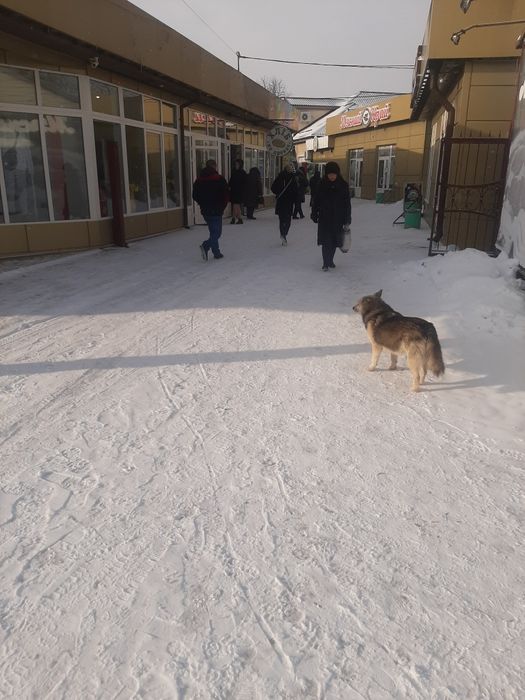 Продам нежитлове приміщення 300м2