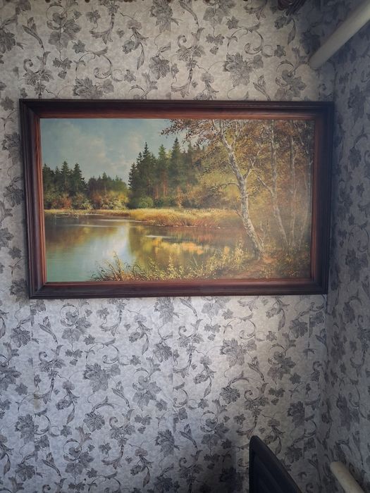 Продам картины в хорошем состоянии недорого.