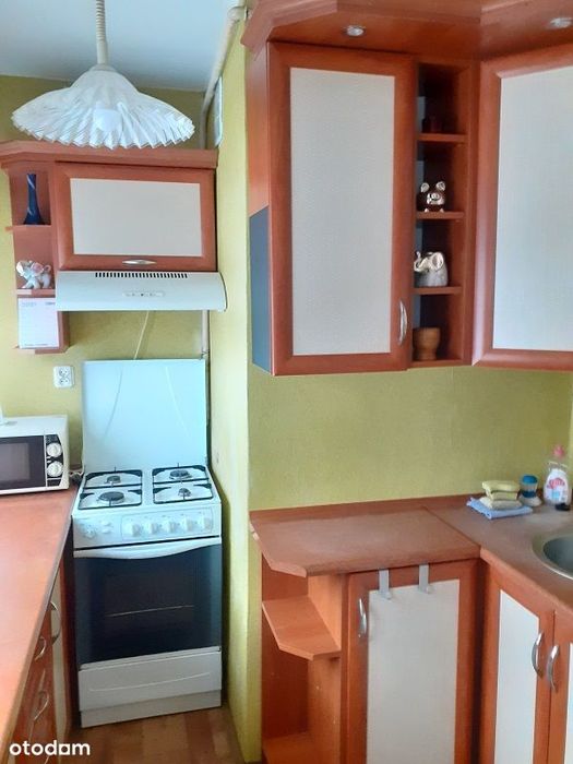 Wynajmę ładną kawalerkę 27m Teofilów - Widok 3