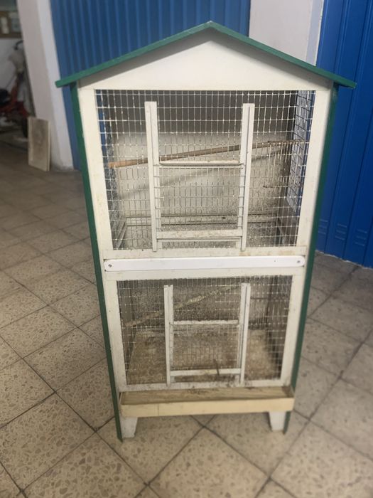 Viveiro para aves de bico curvo