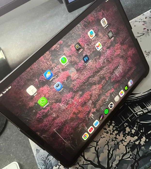iPad Pro 11'' 256GB