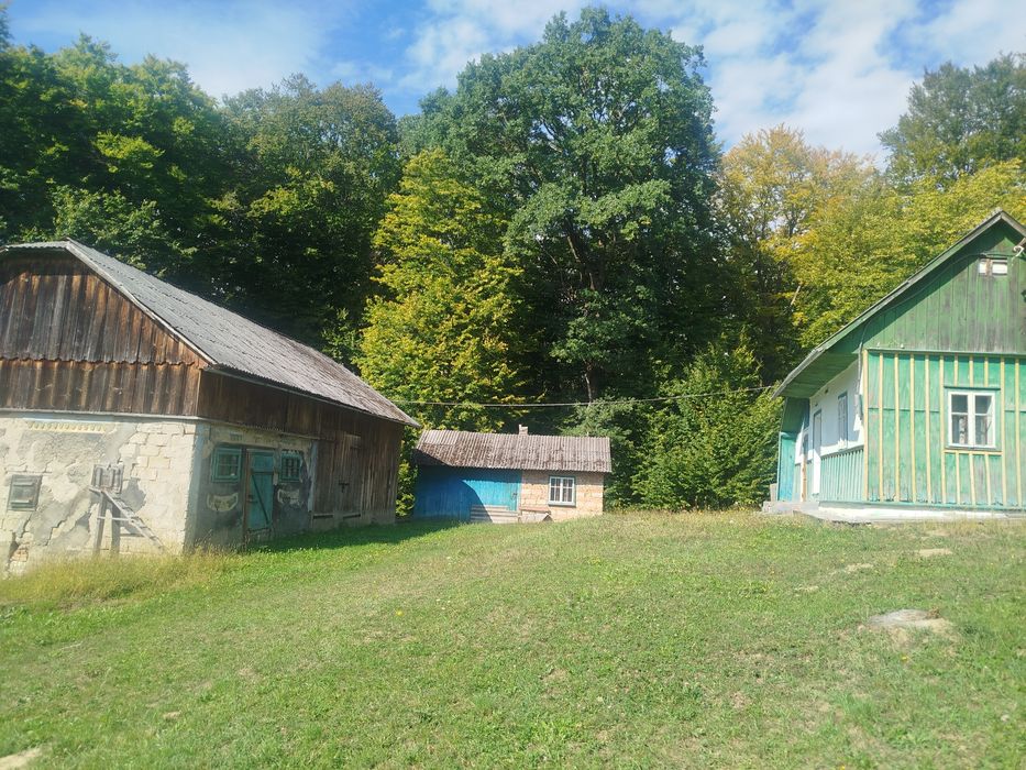 Будинок біля лісу, велика ділянка для дачі, відпочинку, Карпати