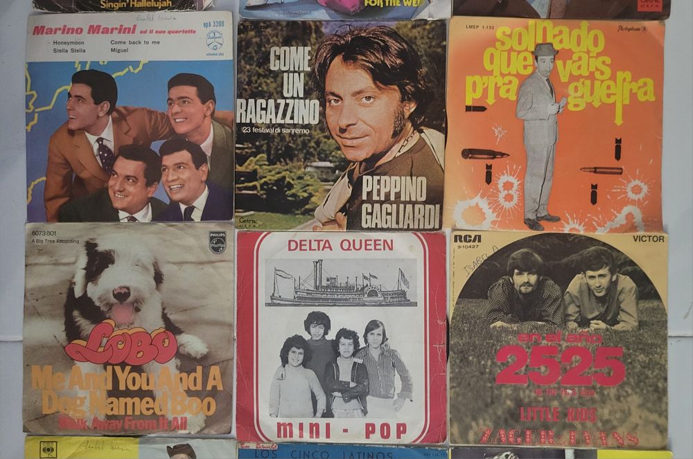 Lote  Discos Vínil dos Pequenos recolha no local