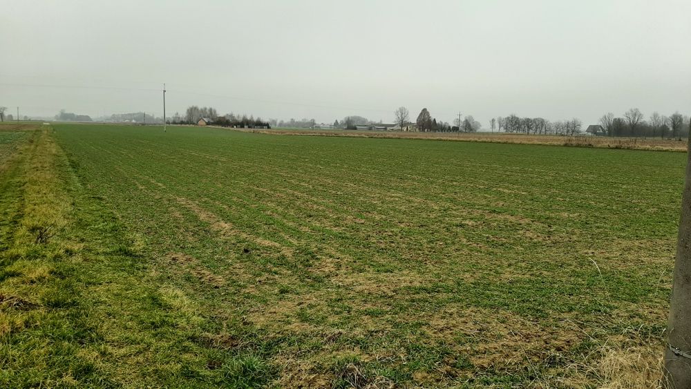 Działki budowlane Podkampinos